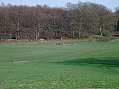 Viltrika marker 2004-04-22 011.jpg